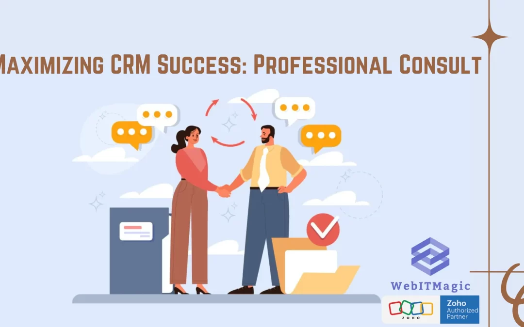 Maximizing CRM Success: Professional Consult