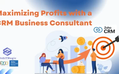 Maximizing Profits with a CRM Business Consultant